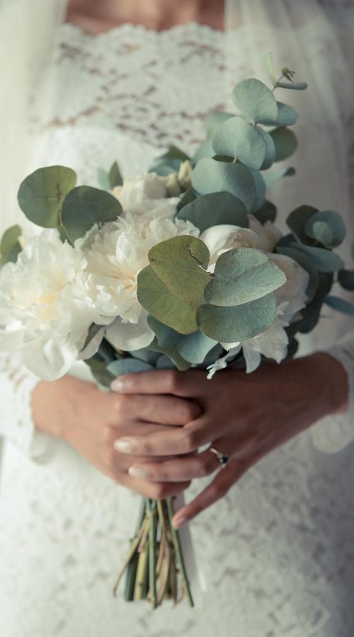 Immagine WhatsApp 2025-09-29 ore 11.04.03_535367cd Immagine WhatsApp 2025-09-29 ore 11.04.03_535367cd